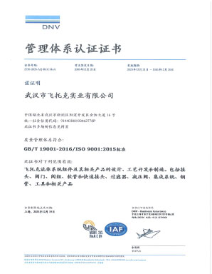 武汉飞托克 ISO 9001